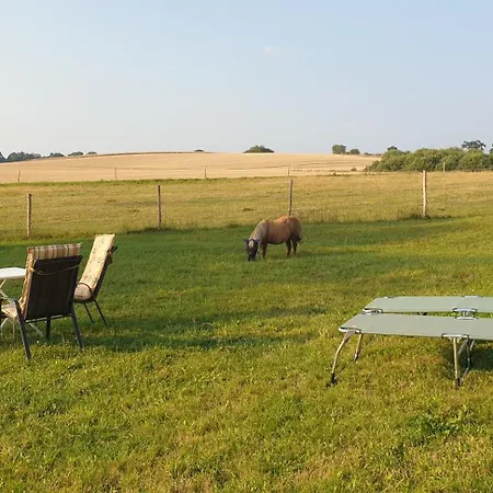 Der Kleine Fuchshof Mit Hund, Pferd Und Huhn *